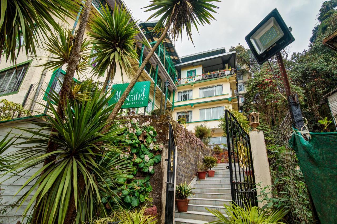 Muscatel Himalayan Resort - 400 Mts From Mall Road Дарджилинг Экстерьер фото